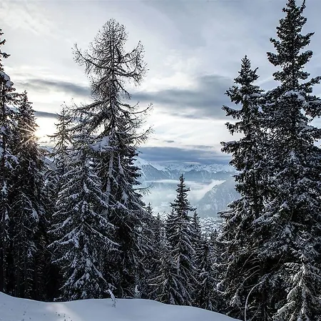 Alpvision Rasidences D4 * Veysonnaz